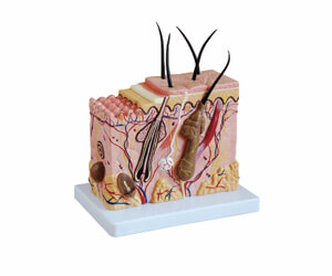 BioLab Products
